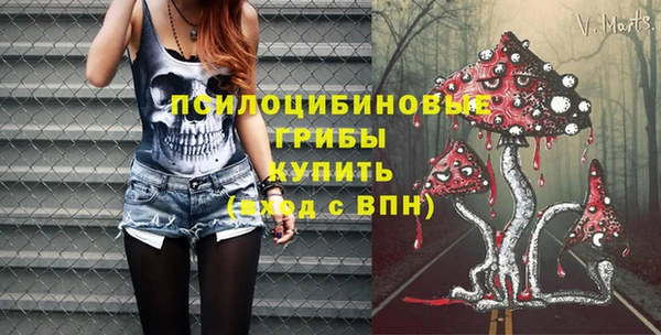 круглые Алзамай