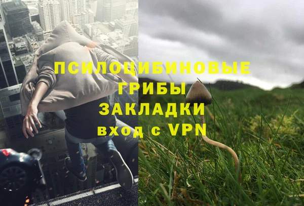 круглые Алзамай