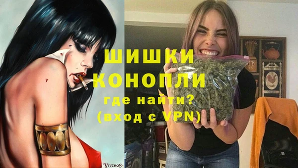 сатива Абаза