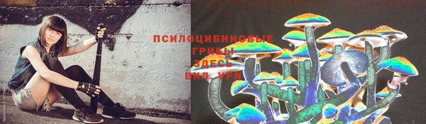 круглые Алзамай